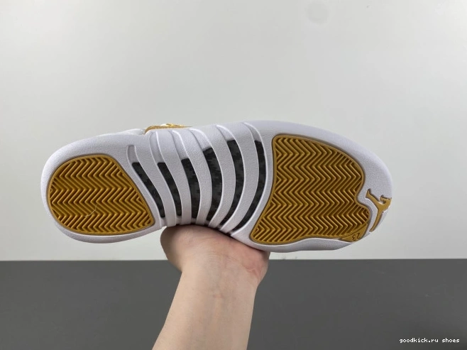 Jordan 12 WMNS FD9101-007 Air Phantom 0726